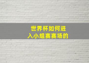 世界杯如何进入小组赛赛场的