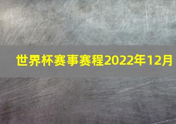 世界杯赛事赛程2022年12月