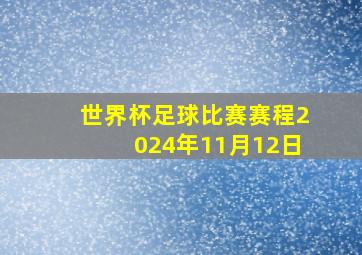 世界杯足球比赛赛程2024年11月12日