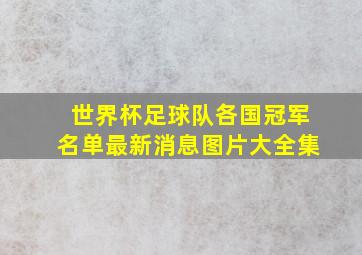 世界杯足球队各国冠军名单最新消息图片大全集