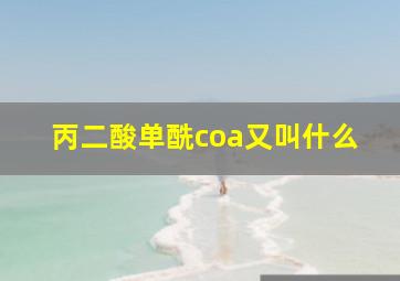 丙二酸单酰coa又叫什么