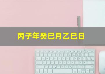 丙子年癸巳月乙巳日