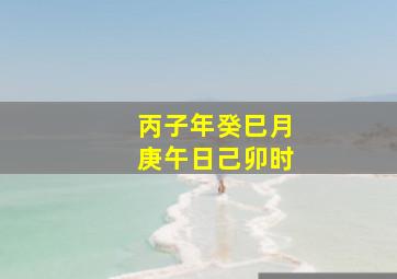 丙子年癸巳月庚午日己卯时