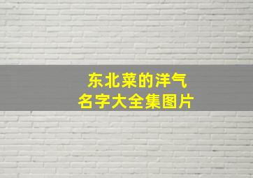 东北菜的洋气名字大全集图片