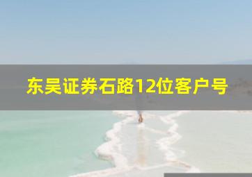 东吴证券石路12位客户号