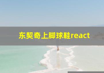 东契奇上脚球鞋react