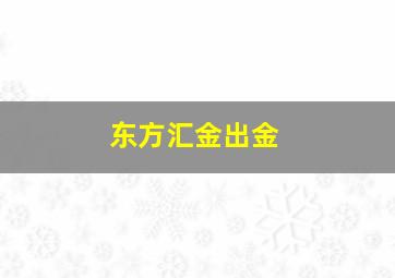 东方汇金出金