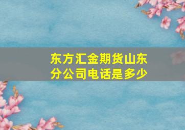 东方汇金期货山东分公司电话是多少