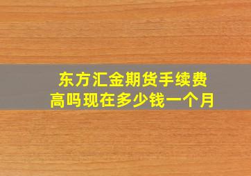 东方汇金期货手续费高吗现在多少钱一个月