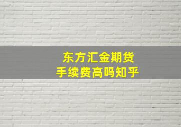 东方汇金期货手续费高吗知乎