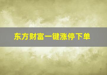 东方财富一键涨停下单