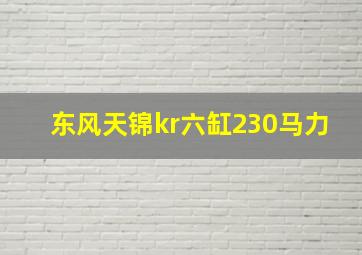 东风天锦kr六缸230马力