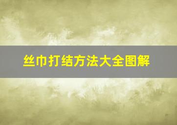 丝巾打结方法大全图解