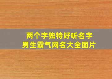 两个字独特好听名字男生霸气网名大全图片