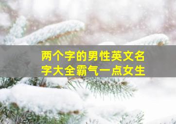 两个字的男性英文名字大全霸气一点女生