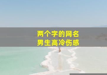 两个字的网名男生高冷伤感