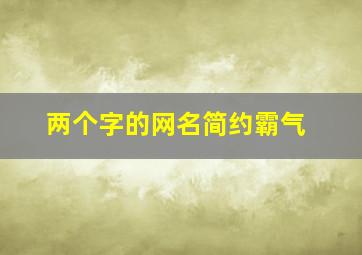 两个字的网名简约霸气