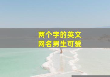 两个字的英文网名男生可爱