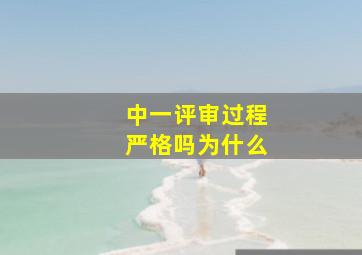 中一评审过程严格吗为什么