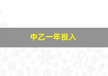 中乙一年投入