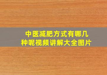 中医减肥方式有哪几种呢视频讲解大全图片