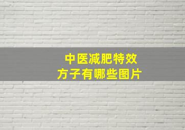 中医减肥特效方子有哪些图片