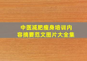 中医减肥瘦身培训内容摘要范文图片大全集