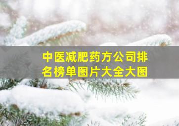 中医减肥药方公司排名榜单图片大全大图