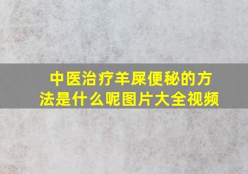 中医治疗羊屎便秘的方法是什么呢图片大全视频