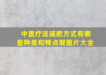 中医疗法减肥方式有哪些种类和特点呢图片大全