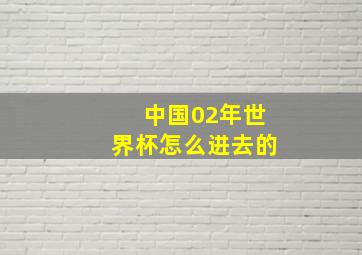 中国02年世界杯怎么进去的