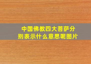 中国佛教四大菩萨分别表示什么意思呢图片