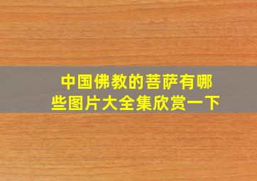 中国佛教的菩萨有哪些图片大全集欣赏一下