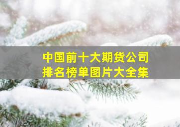 中国前十大期货公司排名榜单图片大全集