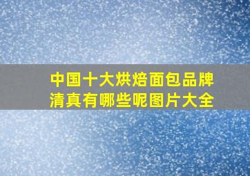 中国十大烘焙面包品牌清真有哪些呢图片大全