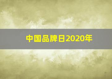 中国品牌日2020年