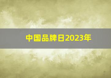 中国品牌日2023年