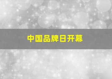 中国品牌日开幕