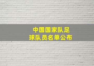 中国国家队足球队员名单公布