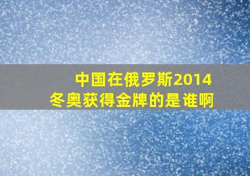 中国在俄罗斯2014冬奥获得金牌的是谁啊