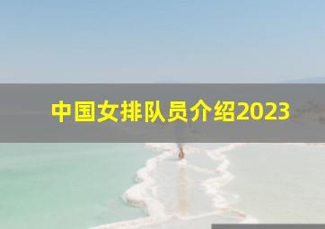 中国女排队员介绍2023