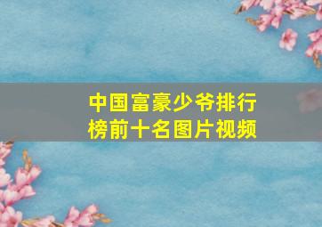 中国富豪少爷排行榜前十名图片视频