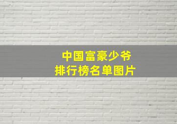 中国富豪少爷排行榜名单图片