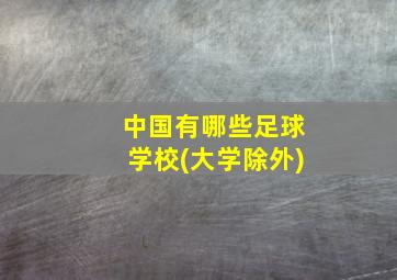 中国有哪些足球学校(大学除外)