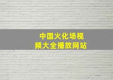 中国火化场视频大全播放网站