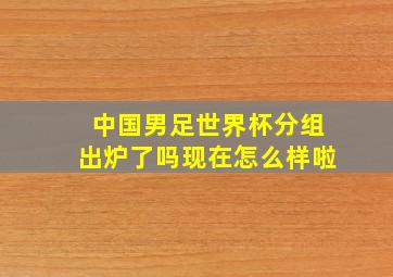 中国男足世界杯分组出炉了吗现在怎么样啦