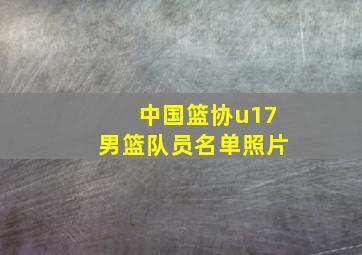 中国篮协u17男篮队员名单照片