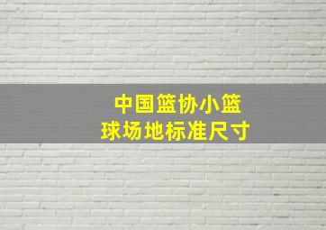 中国篮协小篮球场地标准尺寸