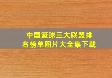 中国篮球三大联盟排名榜单图片大全集下载