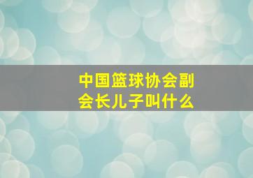 中国篮球协会副会长儿子叫什么